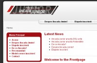 A treia editie a proiectului Ancada Junior
